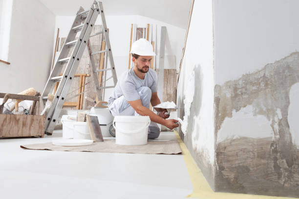 Best Fire-Damaged Drywall Repair  in Monona, IA