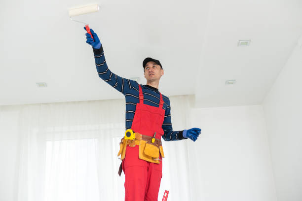 Best Drywall Removal and Disposal  in Monona, IA