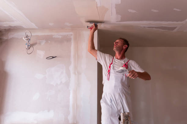 Best Drywall Sanding and Smoothing  in Monona, IA